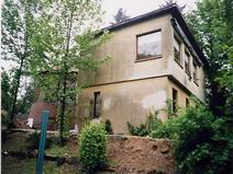 Fassadenanstrich alt 3